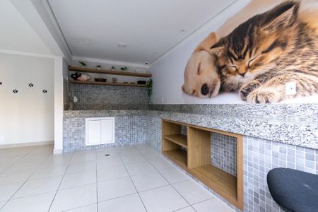 Apartamento para alugar com 28m², 1 quarto e sem vagaEspaço pet