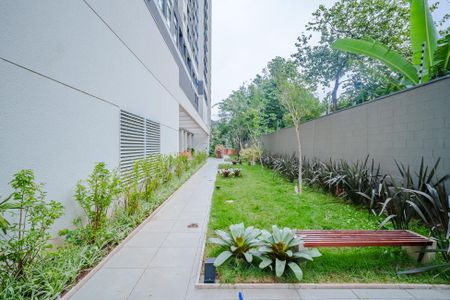 Área comum de apartamento para alugar com 1 quarto, 45m² em Vila Sonia, São Paulo