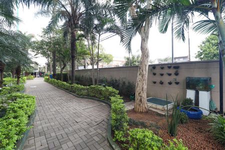 Apartamento para alugar com 3 quartos, 65m² em Vila Maria, São Paulo