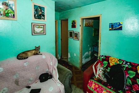 Casa à venda com 1 quarto, 420m² em Rio Branco, Belo Horizonte
