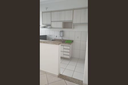 Cozinha de apartamento para alugar com 2 quartos, 49m² em Palmeiras de São José, São José dos Campos
