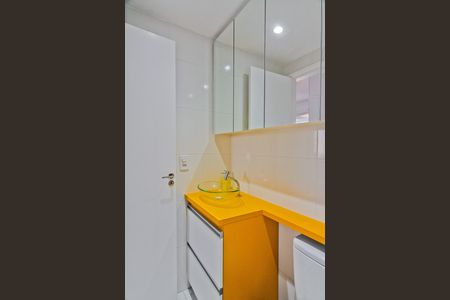 Banheiro de apartamento para alugar com 2 quartos, 41m² em Vila Nova Cachoeirinha, São Paulo