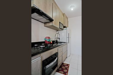 Cozinha de apartamento para alugar com 2 quartos, 41m² em Vila Nova Cachoeirinha, São Paulo