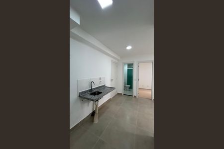 Cozinha de apartamento para alugar com 2 quartos, 37m² em Usina Piratininga, São Paulo