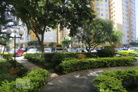 Área comum de apartamento para alugar com 2 quartos, 58m² em Piratininga, Osasco
