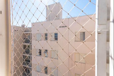 Vista do Quarto 2 de apartamento à venda com 3 quartos, 65m² em Loteamento Parque São Martinho, Campinas