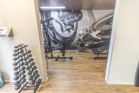 Área comum - Academia de apartamento para alugar com 2 quartos, 39m² em Mooca, São Paulo