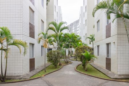 Área comum de apartamento para alugar com 2 quartos, 45m² em Jaraguá, São Paulo