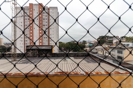 Suíte - Vista de apartamento para alugar com 3 quartos, 78m² em Vila Nova Cachoeirinha, São Paulo