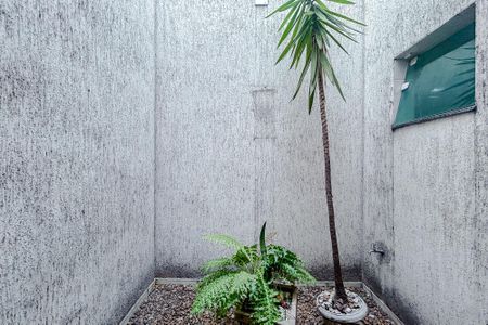 Área externa de casa para alugar com 3 quartos, 170m² em Vila Matilde, São Paulo