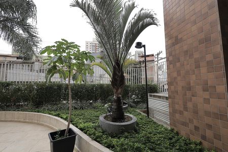 Área comum de apartamento para alugar com 3 quartos, 83m² em Vila Valparaíso, Santo André