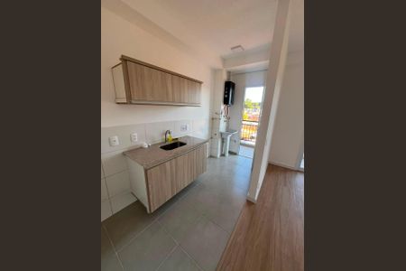 Cozinha de apartamento para alugar com 2 quartos, 50m² em Jardim Adelia Cavicchia Grotta, Limeira
