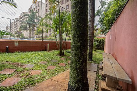 Apartamento para alugar com 80m², 3 quartos e 1 vaga Apartamento para alugar com 80m², 3 quartos e 1 vagaespaço pet_2