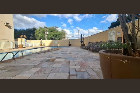 Área comum - Piscina de apartamento para alugar com 1 quarto, 50m² em Nova Aliança, Ribeirão Preto
