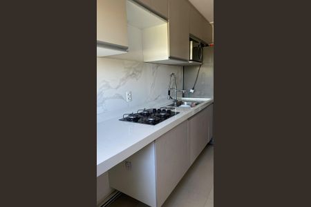 Cozinha de apartamento para alugar com 2 quartos, 42m² em Jardim Garcia, Campinas