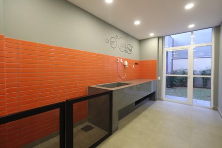 Apartamento para alugar com 42m², 2 quartos e sem vagaPet care