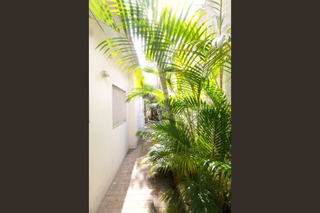 Casa para alugar com 260m², 2 quartos e 4 vagas