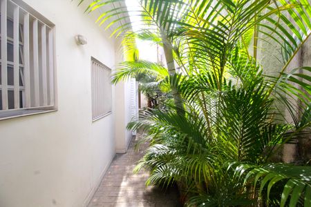 Casa para alugar com 260m², 2 quartos e 4 vagas