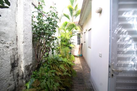 Casa para alugar com 260m², 2 quartos e 4 vagas