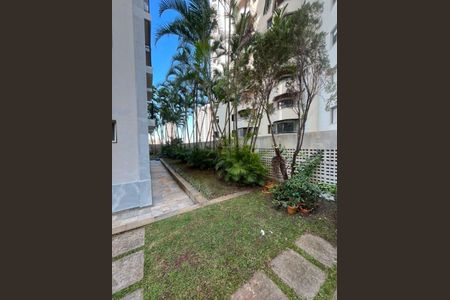 Apartamento para alugar com 2 quartos, 62m² em Vila Mascote, São Paulo
