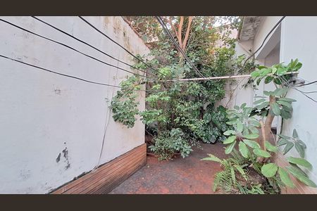 Quintal de apartamento para alugar com 2 quartos, 400m² em Lapa, São Paulo