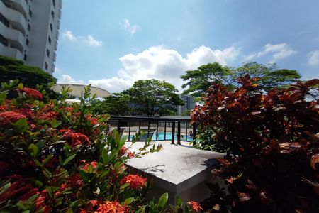Área comum - Piscina de apartamento para alugar com 2 quartos, 80m² em Jacarepaguá, Rio de Janeiro