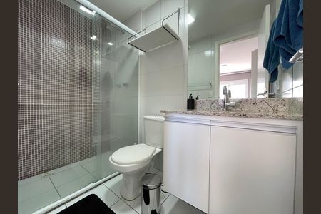 Banheiro 2 de apartamento para alugar com 2 quartos, 60m² em Jardim das Vertentes, São Paulo
