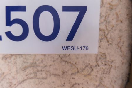 Placa WPSU-176 de casa para alugar com 2 quartos, 250m² em Chacara Dona Olivia, São Paulo