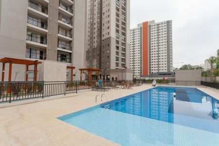 Área comum - Piscina de apartamento para alugar com 2 quartos, 35m² em Usina Piratininga, São Paulo