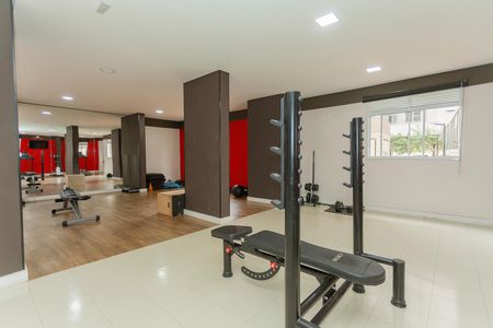 Área comum - Academia de apartamento para alugar com 2 quartos, 35m² em Usina Piratininga, São Paulo