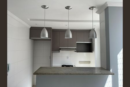 Cozinha de apartamento para alugar com 2 quartos, 40m² em Vila Nova Alianca, Jacareí