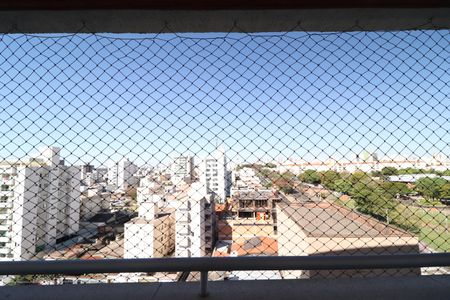 Apartamento para alugar com 217m², 3 quartos e 2 vagasSacada dos Quartos