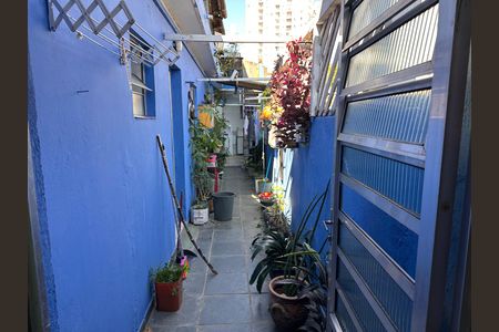 Lavanderia de casa para alugar com 3 quartos, 70m² em Parque Maria Domitila, São Paulo