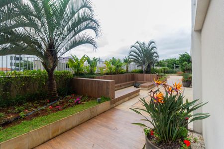 Área comum de apartamento para alugar com 1 quarto, 51m² em Cambuci, São Paulo