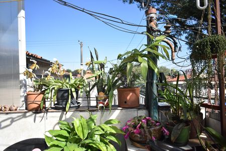 Casa para alugar com 270m², 1 quarto e 2 vagasTerraço