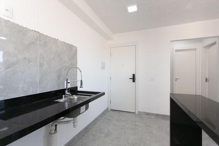 Cozinha de apartamento para alugar com 2 quartos, 38m² em Cidade Nova São Miguel, São Paulo