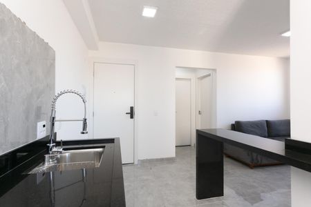 Cozinha de apartamento para alugar com 2 quartos, 38m² em Cidade Nova São Miguel, São Paulo
