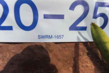 Placa SWRM-1657 de apartamento para alugar com 2 quartos, 56m² em Conjunto Residencial José Bonifácio, São Paulo