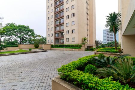 Área Comum de apartamento para alugar com 2 quartos, 70m² em Nova Piraju, São Paulo