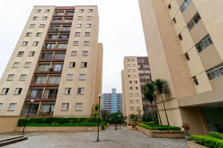 Área Comum de apartamento para alugar com 2 quartos, 70m² em Nova Piraju, São Paulo