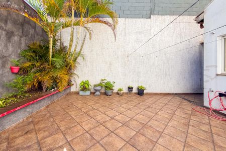 Quintal de casa para alugar com 2 quartos, 135m² em Cambuci, São Paulo