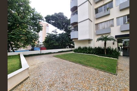 Área Externa de apartamento para alugar com 2 quartos, 55m² em Chácara Santo Antônio (Zona Sul), São Paulo