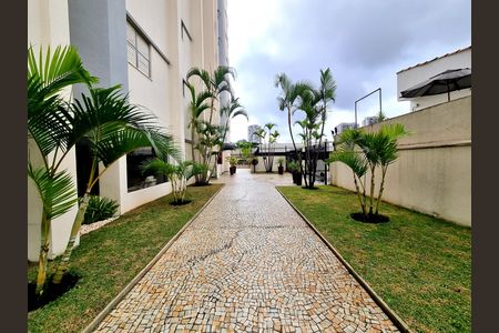 Área Externa de apartamento para alugar com 2 quartos, 55m² em Chácara Santo Antônio (Zona Sul), São Paulo
