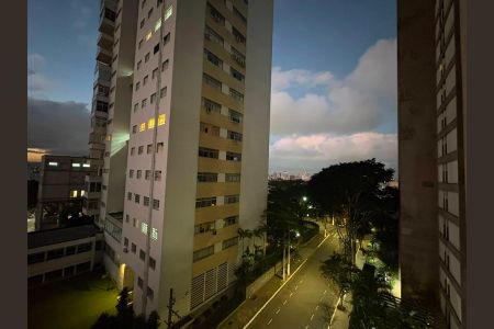 Vista de apartamento para alugar com 1 quarto, 40m² em Morro dos Ingleses, São Paulo
