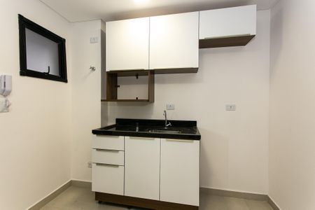 Cozinha de apartamento para alugar com 1 quarto, 30m² em Cidade Mãe do Céu, São Paulo