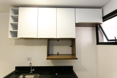 Apartamento para alugar com 30m², 1 quarto e sem vaga Apartamento para alugar com 30m², 1 quarto e sem vagaCozinha - Armários