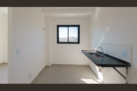 Cozinha de apartamento para alugar com 2 quartos, 52m² em Vila Santa Teresa (zona Leste), São Paulo