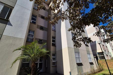 Fachada do Prédio de apartamento para alugar com 2 quartos, 42m² em Jardim Nossa Senhora da Penha, Campinas