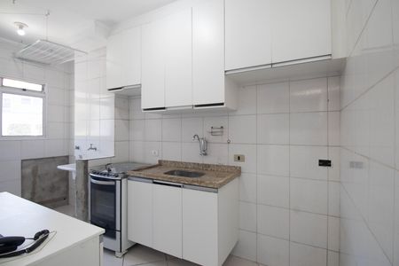 Apartamento para alugar com 50m², 2 quartos e sem vaga Apartamento para alugar com 50m², 2 quartos e sem vagaCozinha - Armários