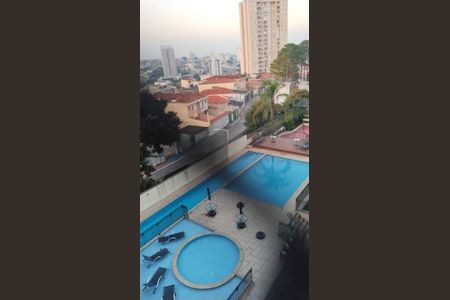 Apartamento à venda com 3 quartos, 115m² em Vila Maria Alta, São Paulo